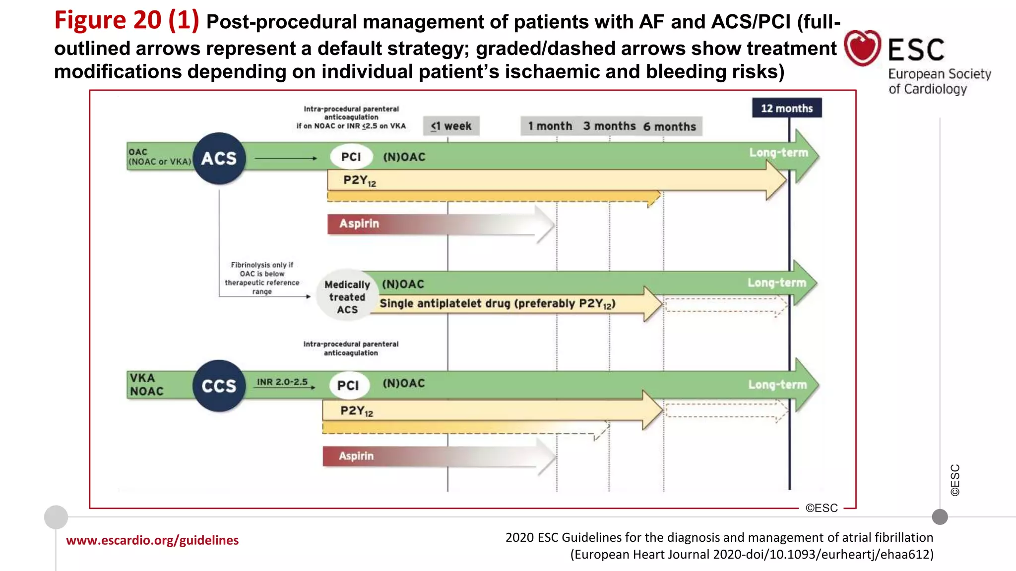 2020 ESC Guidelines for the diagnosis and management of atrial fibrillation
(European Heart Journal 2020-doi/10.1093/eurheartj/ehaa612)
www.escardio.org/guidelines
©ESC
Figure 20 (1) Post-procedural management of patients with AF and ACS/PCI (full-
outlined arrows represent a default strategy; graded/dashed arrows show treatment
modifications depending on individual patient’s ischaemic and bleeding risks)
©ESC
 