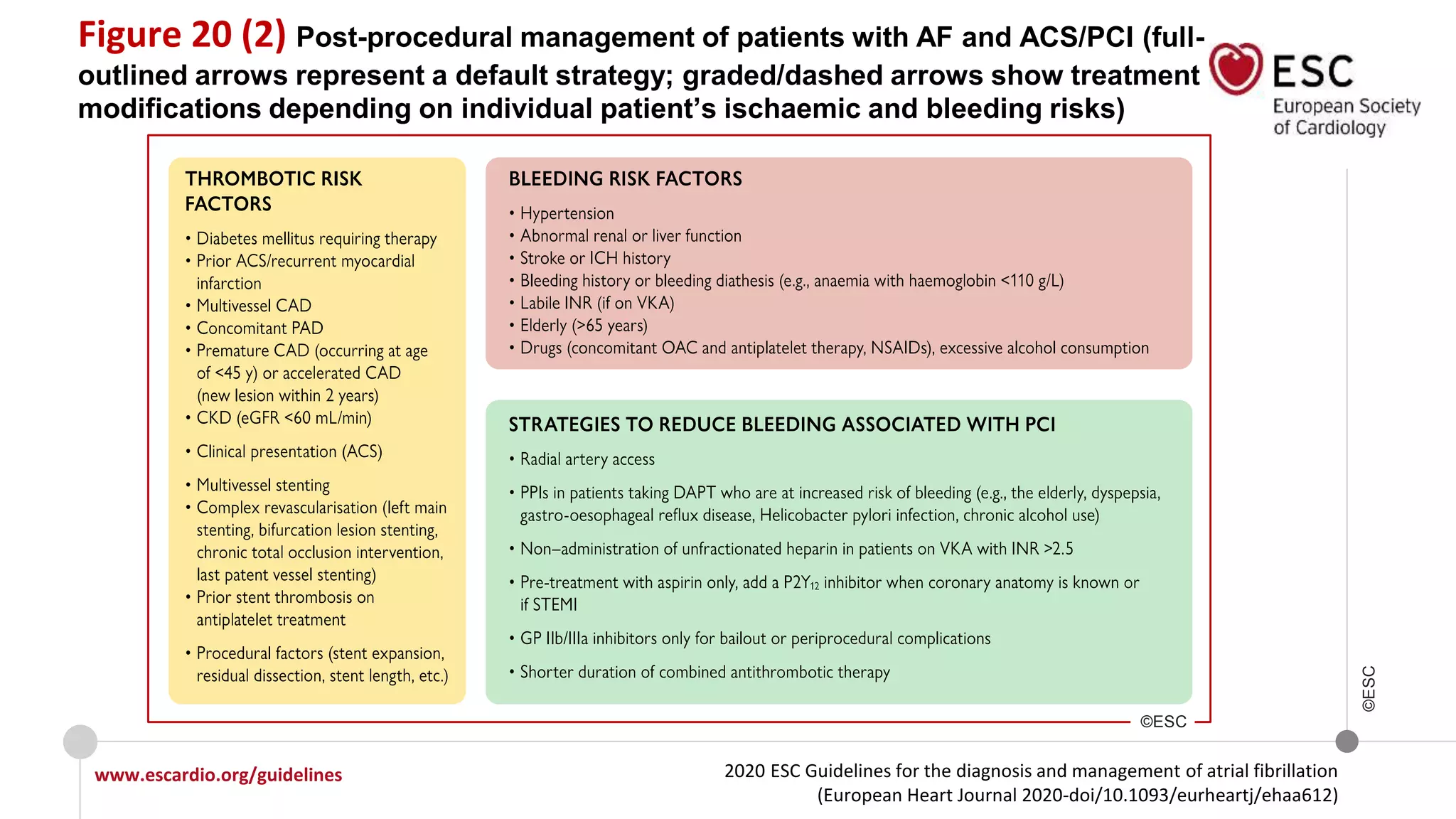 2020 ESC Guidelines for the diagnosis and management of atrial fibrillation
(European Heart Journal 2020-doi/10.1093/eurheartj/ehaa612)
www.escardio.org/guidelines
©ESC
Figure 20 (2) Post-procedural management of patients with AF and ACS/PCI (full-
outlined arrows represent a default strategy; graded/dashed arrows show treatment
modifications depending on individual patient’s ischaemic and bleeding risks)
©ESC
 