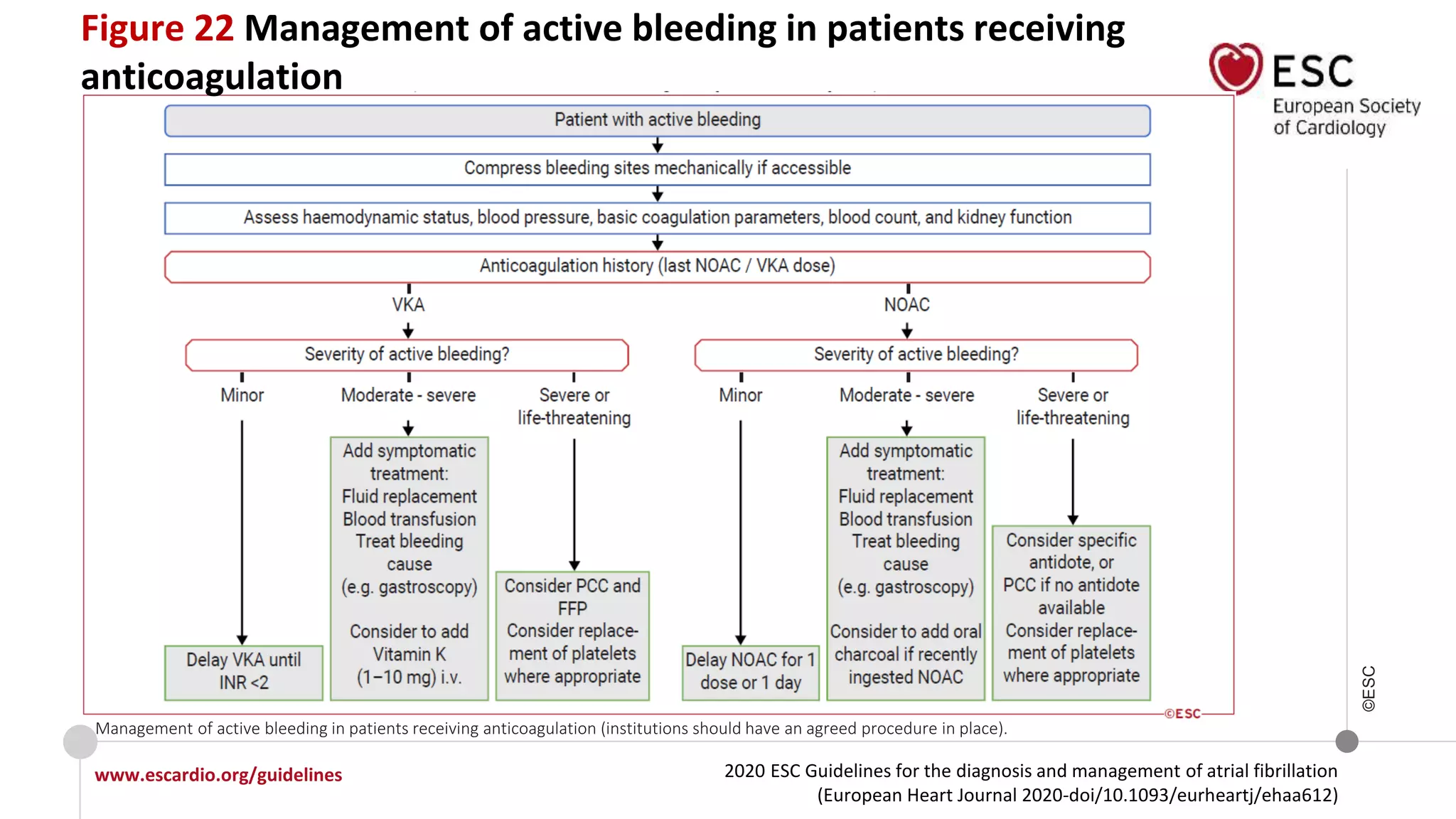 2020 ESC Guidelines for the diagnosis and management of atrial fibrillation
(European Heart Journal 2020-doi/10.1093/eurheartj/ehaa612)
www.escardio.org/guidelines
©ESC
Management of active bleeding in patients receiving anticoagulation (institutions should have an agreed procedure in place).
Figure 22 Management of active bleeding in patients receiving
anticoagulation
 