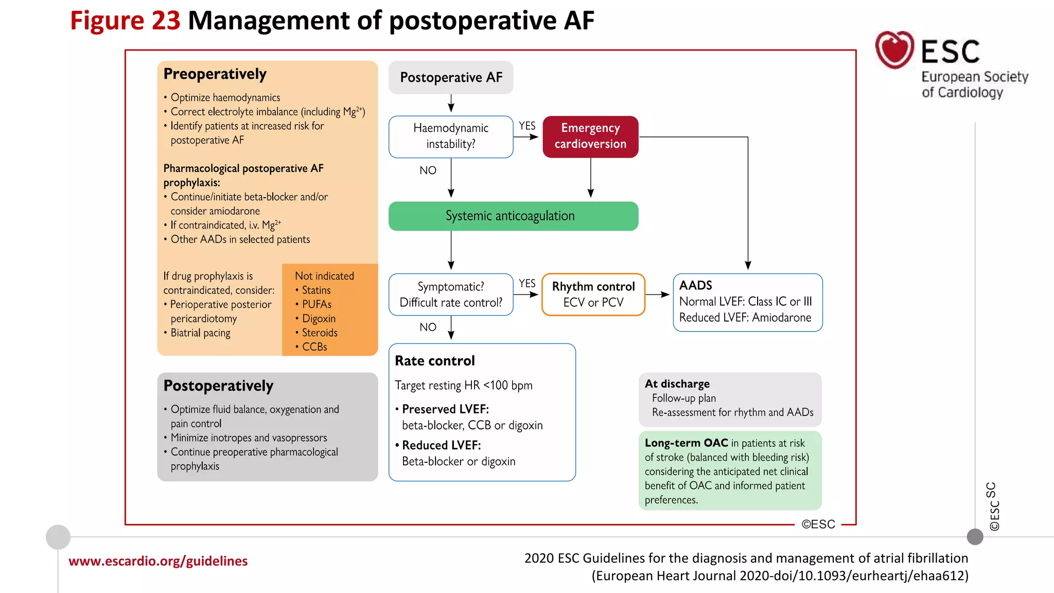 2020 ESC Guidelines for the diagnosis and management of atrial fibrillation
(European Heart Journal 2020-doi/10.1093/eurheartj/ehaa612)
www.escardio.org/guidelines
©ESC
Figure 23 Management of postoperative AF
©ESC
©ESC
 