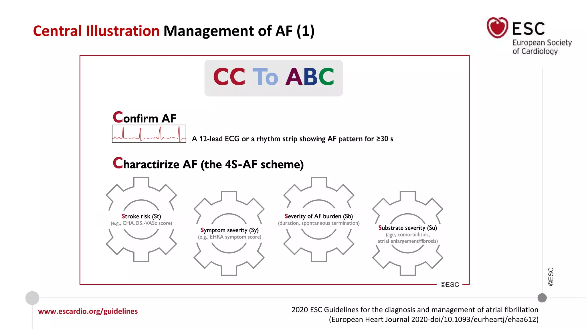 2020 ESC Guidelines for the diagnosis and management of atrial fibrillation
(European Heart Journal 2020-doi/10.1093/eurheartj/ehaa612)
www.escardio.org/guidelines
©ESC
Central Illustration Management of AF (1)
©ESC
 