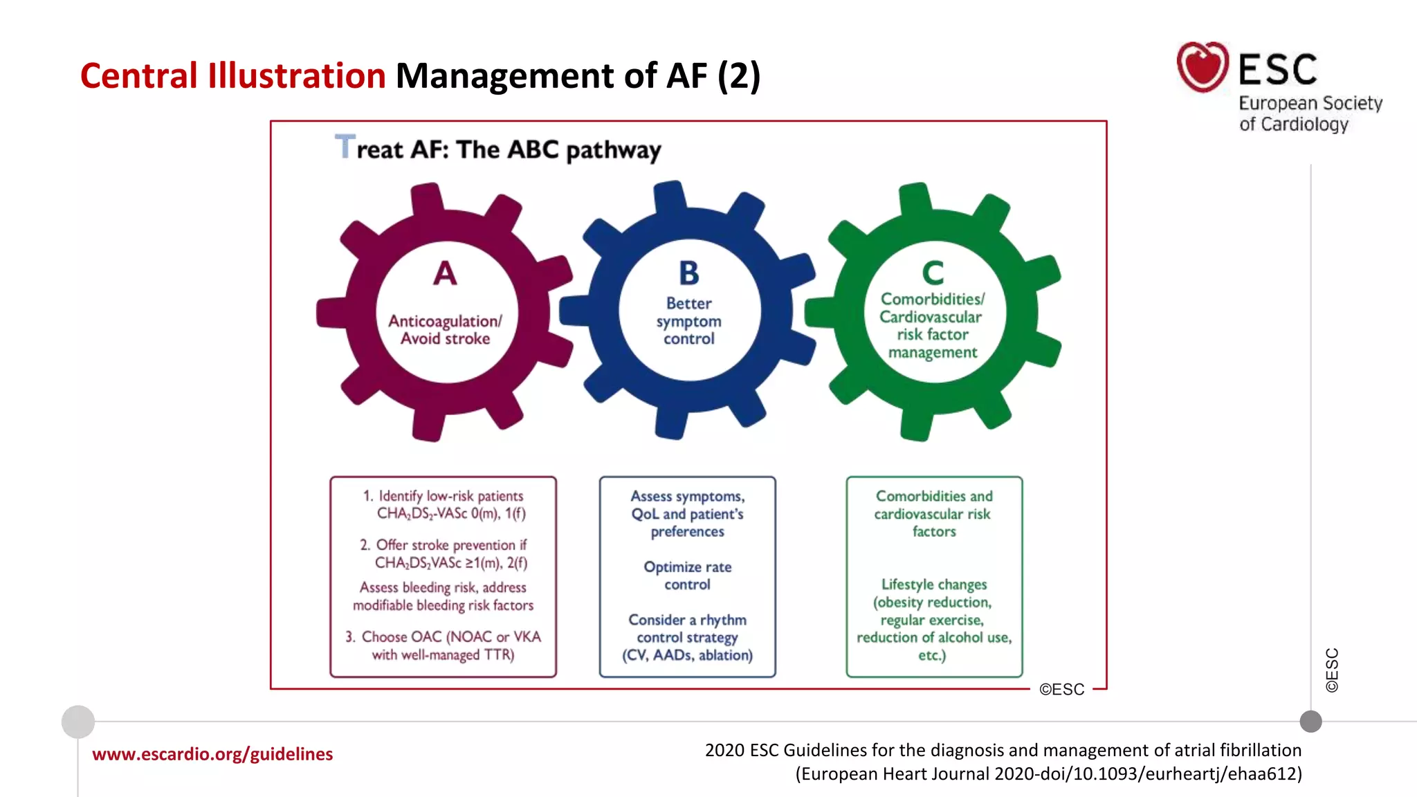 2020 ESC Guidelines for the diagnosis and management of atrial fibrillation
(European Heart Journal 2020-doi/10.1093/eurheartj/ehaa612)
www.escardio.org/guidelines
©ESC
Central Illustration Management of AF (2)
©ESC
 