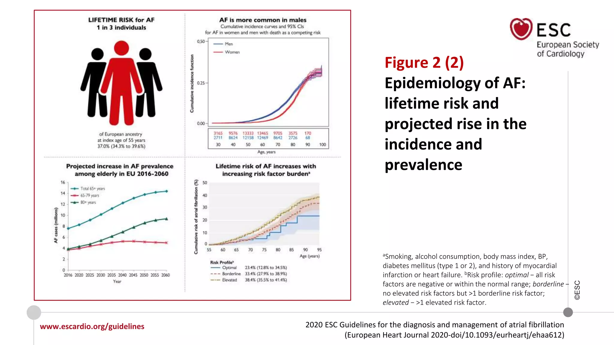 2020 ESC Guidelines for the diagnosis and management of atrial fibrillation
(European Heart Journal 2020-doi/10.1093/eurheartj/ehaa612)
www.escardio.org/guidelines
©ESC
Figure 2 (2)
Epidemiology of AF:
lifetime risk and
projected rise in the
incidence and
prevalence
aSmoking, alcohol consumption, body mass index, BP,
diabetes mellitus (type 1 or 2), and history of myocardial
infarction or heart failure. bRisk profile: optimal − all risk
factors are negative or within the normal range; borderline −
no elevated risk factors but >1 borderline risk factor;
elevated − >1 elevated risk factor.
 