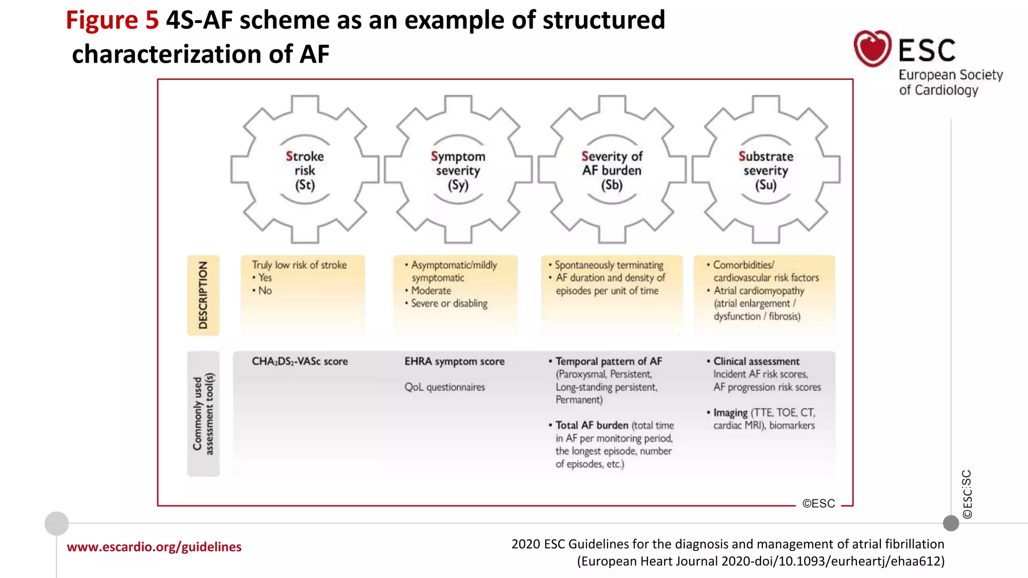 2020 ESC Guidelines for the diagnosis and management of atrial fibrillation
(European Heart Journal 2020-doi/10.1093/eurheartj/ehaa612)
www.escardio.org/guidelines
©ESC
Figure 5 4S-AF scheme as an example of structured
characterization of AF
©ESC
©ESC
 
