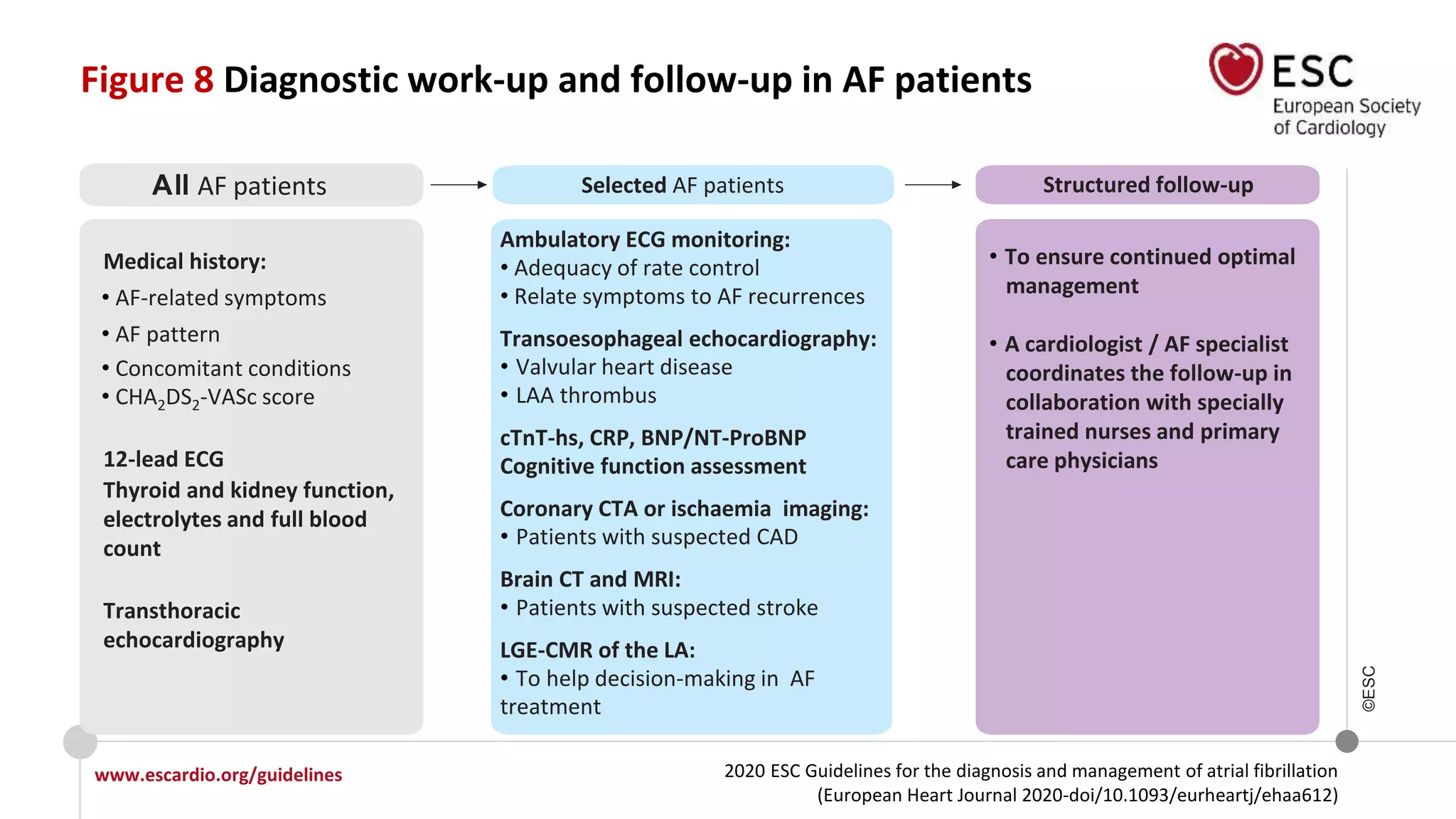 2020 ESC Guidelines for the diagnosis and management of atrial fibrillation
(European Heart Journal 2020-doi/10.1093/eurheartj/ehaa612)
www.escardio.org/guidelines
©ESC
Figure 8 Diagnostic work-up and follow-up in AF patients
All AF patients Structured follow-up
Medical history:
• AF-related symptoms
• AF pattern
• Concomitant conditions
• CHA2DS2-VASc score
12-lead ECG
Thyroid and kidney function,
electrolytes and full blood
count
Transthoracic
echocardiography
Ambulatory ECG monitoring:
• Adequacy of rate control
• Relate symptoms to AF recurrences
Transoesophageal echocardiography:
• Valvular heart disease
• LAA thrombus
cTnT-hs, CRP, BNP/NT-ProBNP
Cognitive function assessment
Coronary CTA or ischaemia imaging:
• Patients with suspected CAD
Brain CT and MRI:
• Patients with suspected stroke
LGE-CMR of the LA:
• To help decision-making in AF
treatment
• To ensure continued optimal
management
• A cardiologist / AF specialist
coordinates the follow-up in
collaboration with specially
trained nurses and primary
care physicians
Selected AF patients
 