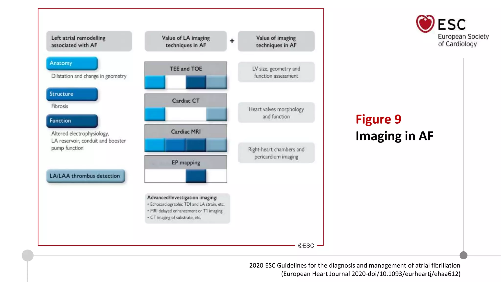 2020 ESC Guidelines for the diagnosis and management of atrial fibrillation
(European Heart Journal 2020-doi/10.1093/eurheartj/ehaa612)
©ESC
Figure 9
Imaging in AF
 