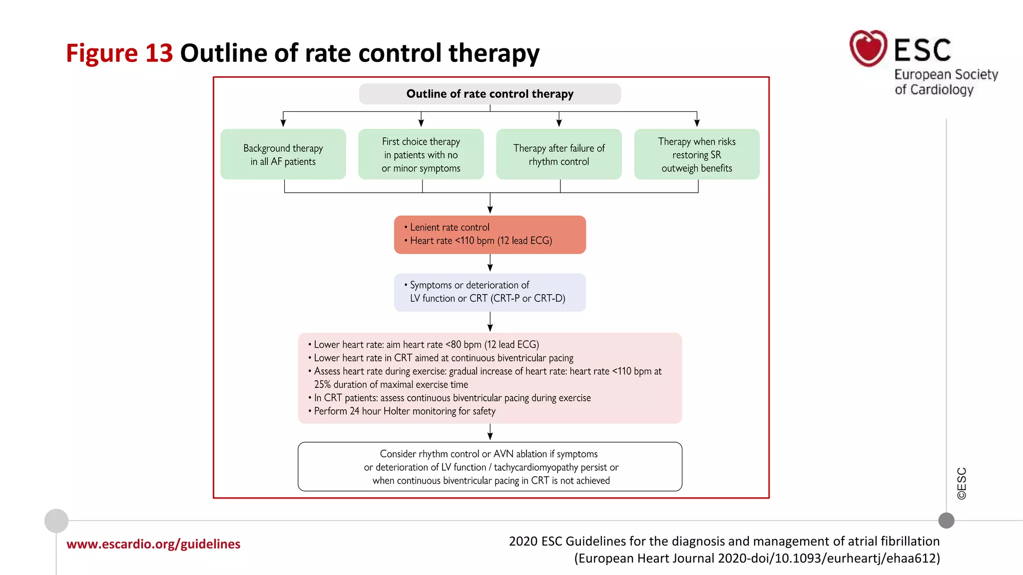 2020 ESC Guidelines for the diagnosis and management of atrial fibrillation
(European Heart Journal 2020-doi/10.1093/eurheartj/ehaa612)
www.escardio.org/guidelines
©ESC
Figure 13 Outline of rate control therapy
 