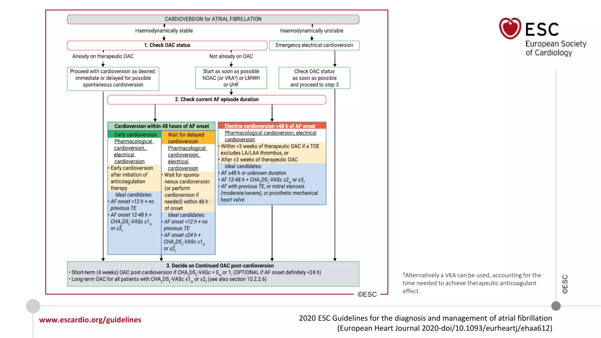 2020 ESC Guidelines for the diagnosis and management of atrial fibrillation
(European Heart Journal 2020-doi/10.1093/eurheartj/ehaa612)
www.escardio.org/guidelines
©ESC
aAlternatively a VKA can be used, accounting for the
time needed to achieve therapeutic anticoagulant
effect.
©ESC
 