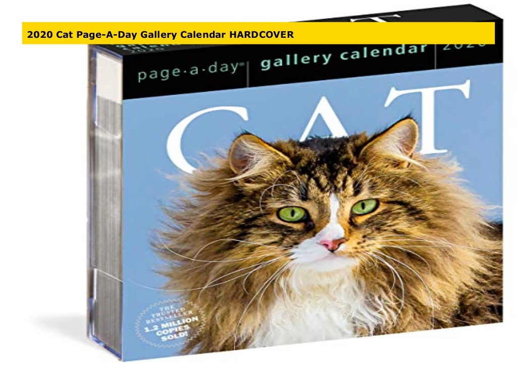 2020 Cat PageADay Gallery Calendar HARDCOVER