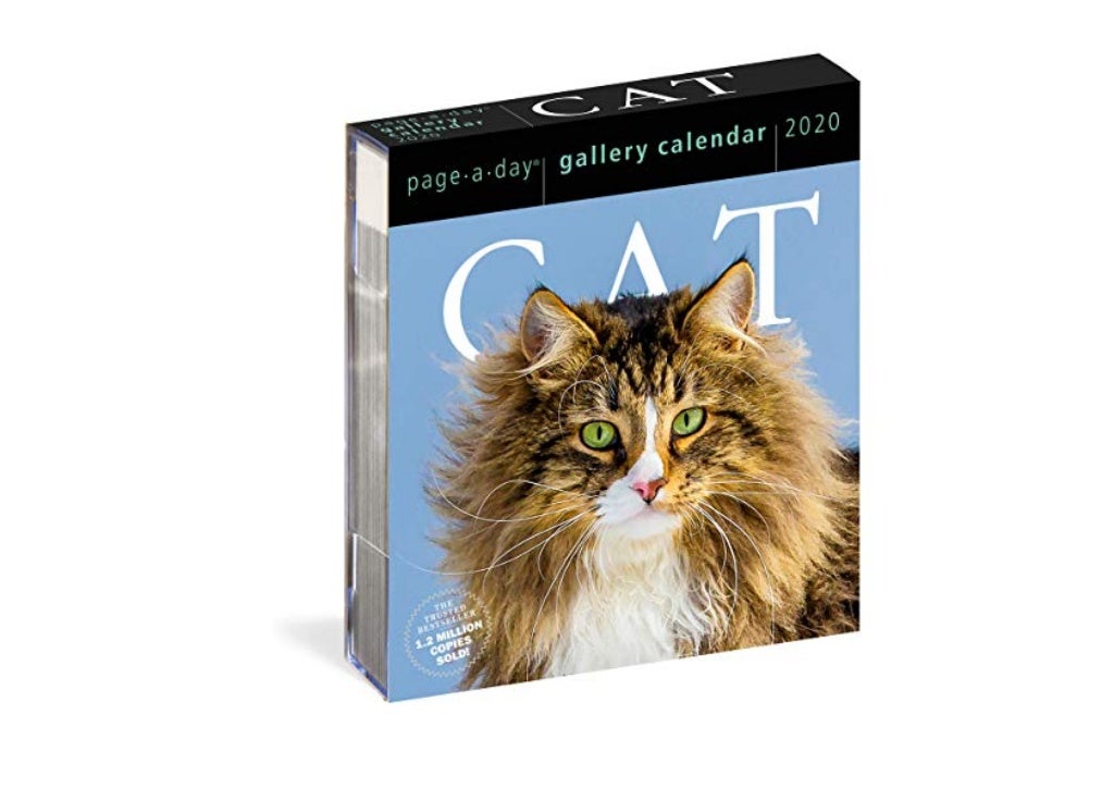 2020 Cat Page-A-Day Gallery Calendar HARDCOVER
