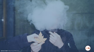 picture credit: https://www.flickr.com/
 