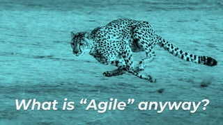 What is “Agile” anyway?
 