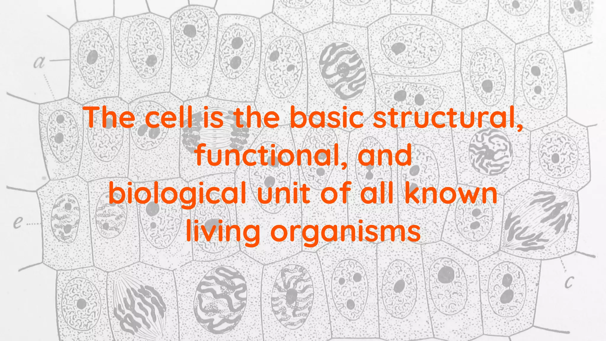 The cell is the basic structural,
functional, and
biological unit of all known
living organisms
 