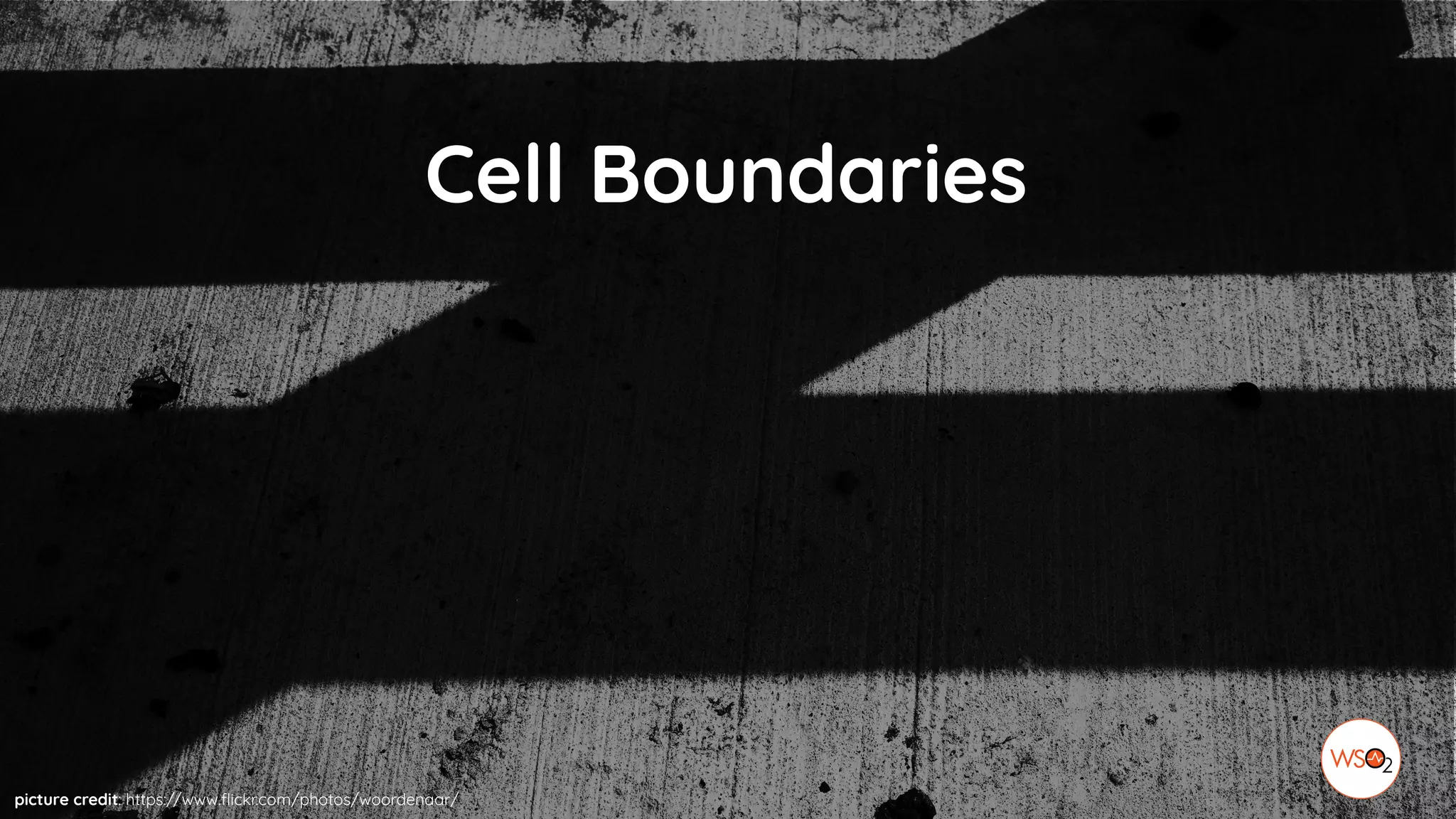 picture credit: https://www.flickr.com/photos/woordenaar/
Cell Boundaries
 