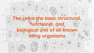 The cell is the basic structural,
functional, and
biological unit of all known
living organisms
 