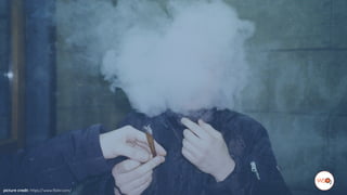 picture credit: https://www.flickr.com/
 