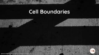 picture credit: https://www.flickr.com/photos/woordenaar/
Cell Boundaries
 
