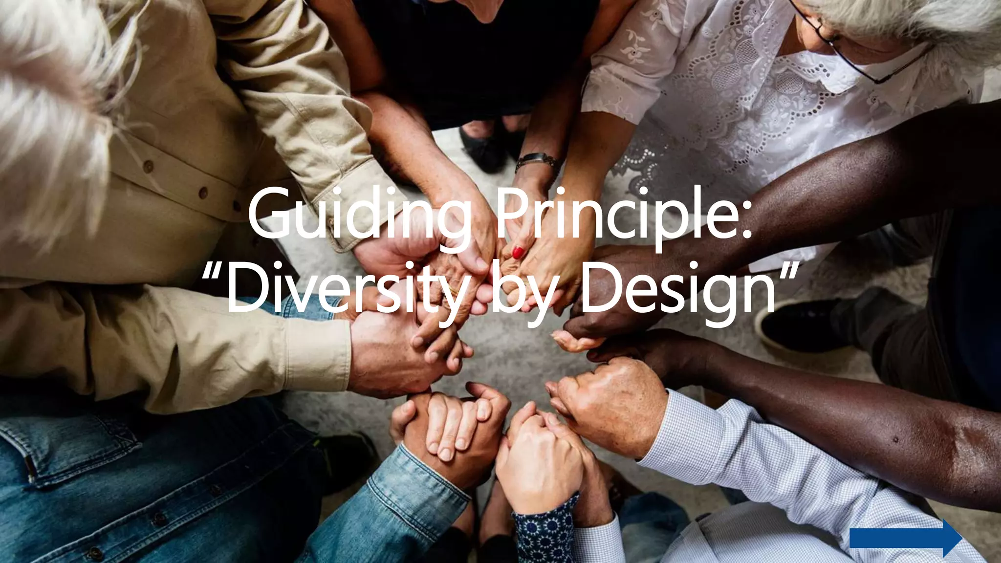Guiding Principle:
“Diversity by Design”
 