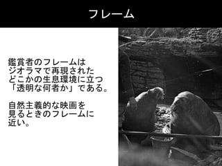 鑑賞者のフレームは	
ジオラマで再現された	
どこかの生息環境に立つ	
「透明な何者か」である。	
自然主義的な映画を	
見るときのフレームに	
近い。
フレーム
 