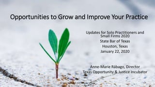 Opportunities to Grow and Improve Your Practice
Updates for Solo Practitioners and
Small Firms 2020
State Bar of Texas
Houston, Texas
January 22, 2020
Anne-Marie Rábago, Director
Texas Opportunity & Justice Incubator
All rights reserved © 2020 State Bar of Texas
 