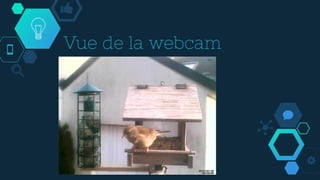 Vue de la webcam
 