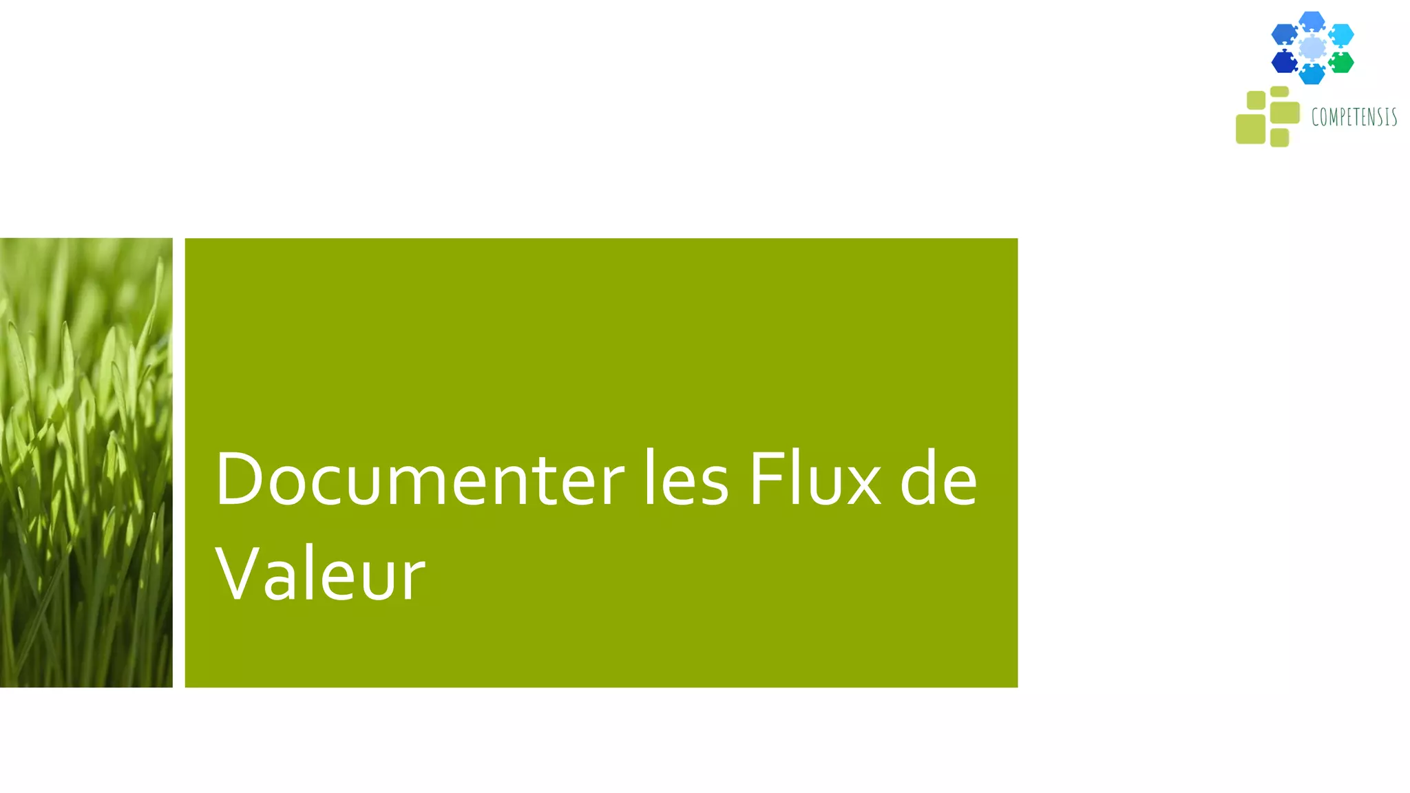 Documenter les Flux de
Valeur
 