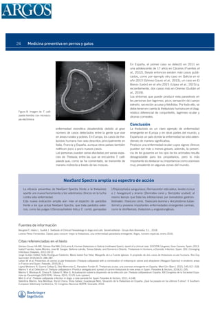 enfermedad zoonótica desatendida debido al gran
número de casos detectados entre la gente que vive
en áreas rurales y pobres. En Europa, los casos de the-
laziosis humana han sido descritos principalmente en
Italia, Francia y España, aunque otros países también
notiican poco a poco nuevos casos.
Las personas pueden verse afectadas por varias espe-
cies de Thelazia, entre las que se encuentra T. calli-
paeda que, como se ha comentado, se transmite de
manera indirecta a través de las moscas.
En España, el primer caso se detectó en 2011 en
una adolescente de 17 años en Cáceres (Fuentes et
al., 2012). Desde entonces existen más casos publi-
cados, como por ejemplo otro caso en Galicia en el
año 2013 (Gómez-Couso et al., 2013), un caso en El
Bierzo (León) en el año 2015 (López et al., 2015) y,
recientemente, dos casos más en Orense (Guitián et
al., 2019).
Los síntomas que puede producir esta parasitosis en
las personas son lagrimeo, picor, sensación de cuerpo
extraño, secreción acuosa y fotofobia. Por todo ello, se
debe tener en cuenta la thelaziosis humana en el diag-
nóstico diferencial de conjuntivitis, lagrimeo ocular y
úlceras corneales.
Conclusión
La thelaziosis es un claro ejemplo de enfermedad
emergente en Europa y en otras partes del mundo, y
España es un país donde la enfermedad se está exten-
diendo de manera signiicativa.
Produce una enfermedad ocular cuyos signos clínicos
pueden ser más o menos graves; además, la presen-
cia de los gusanos en los ojos de los animales resulta
desagradable para los propietarios, pero lo más
importante es destacar su importancia como zoonosis
muy prevalente en algunas zonas del mundo.
Figura 8. Imagen de T. calli-
paeda hembra con microsco-
pía electrónica.
NexGard Spectra amplía su espectro de acción
La eicacia preventiva de NexGard Spectra frente a la thelaziosis
aporta una nueva herramienta a los veterinarios clínicos en la lucha
contra esta enfermedad.
Esta nueva indicación amplía aún más el espectro de parásitos
frente a los que actúa NexGard Spectra, que trata parásitos exter-
nos, como las pulgas (Ctenocephalides felis y C. canis), garrapatas
(Rhipicephalus sanguineus, Dermacentor reticulatus, Ixodes ricinus
e I. hexagonus) y ácaros (Demodex canis y Sarcoptes scabiei), al
mismo tiempo que trata las infestaciones por nematodos gastroin-
testinales (Toxocara canis, Toxascaris leonina y Ancylostoma tubae-
forme) y previene importantes enfermedades emergentes caninas,
como la diroilariosis, thelaziosis y angiostrongilosis.
Fuentes de información
Beugnet F, Halos L, Guillot J. Textbook of Clinical Parasitology in dogs and cats. Servet editorial - Grupo Asís Biomedia, S.L., 2018.
Lorena Pérez Fernández. Claves para conocer mejor la thelaziosis, una enfermedad parasitaria emergente. Argos, número especial, enero 2016.
Citas referenciadas en el texto
Gómez-Couso HA-ME, Gómez-Rial MA, Cid-Lama A. Human thelaziosis in Galicia (northwest Spain): report of a clinical case. SOCEPA Congress, Gran Canaria, Spain; 2013.
Isabel Fuentes, Isaías Montes, Jose M. Saugar, Stefania Latrofa, Teresa Gárate, and Domenico Otranto. Thelaziosis in Humans, a Zoonotic Infection, Spain, 2011 Emerging
Infectious Diseases, 2012;18:12.
Jorge Guitián Deltell, Sofía Rodríguez Calderón, María Isabel Paz Vidal, Margarita de La Fuente Iglesias. A propósito de dos casos de thelaziosis ocular humana. Rev Esp
Quimioter 2019;32(3): 286-287.
Lebon W et al. Prevention of canine ocular thelaziosis (Thelazia callipaeda) with a combination of milbemycin oxime and afoxolaner (Nexgard Spectra) in endemic areas
in France and Spain. Parasite, 2019;26:1.
López Medrano R, Guerra Calleja G, Díez Morrondo C, Panadero Fontán R. Thelaziosis ocular, una zoonosis emergente en España. Med Clin (Barc). 2015; 145:317–318.
Marino V et al. Detection of Thelazia callipaeda in Phortica variegata and spread of canine thelaziosis to new areas in Spain. Parasites & Vectors, 2018;11:195.
Marino V, Montoya A, Checa R, Gálvez R, Miró G. Actualización sobre la dispersión de la infección por Thelazia callipaeda en España. XIX Congreso de la Sociedad Espa-
ñola de Parasitología (SOCEPA). Vitoria, 2015, 23-25 Julio (póster).
Miró G et al. Thelazia callipaeda: infection in dogs: a new parasite for Spain Parasites & Vectors, 2011; 4:148.
Valentina Marino, Ana Montoya, Roció Checa, Rosa Gálvez, Guadalupe Miró. Situación de la thelaziosis en España: ¿Qué ha pasado en los últimos 5 años?. X Southern
European Veterinary Conference, 51 Congreso Nacional AVEPA. Granada, 2016.
Medicina preventiva en perros y gatos
24
 