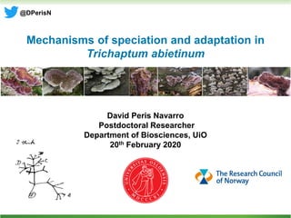 Mechanisms of speciation and adaptation in
Trichaptum abietinum
David Peris Navarro
Postdoctoral Researcher
Department of Biosciences, UiO
20th February 2020
@DPerisN
 