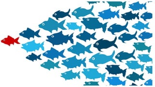 20200226 - AI Overview