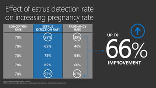 66%
IMPROVEMENT
UP TO
CONCEPTION
RATE
ESTRUS
DETECTION RATE
PREGNANCY
RATE
70% 55% 39%
70% 65% 46%
70% 75% 53%
70% 85% 60%
70% 95% 67%
 