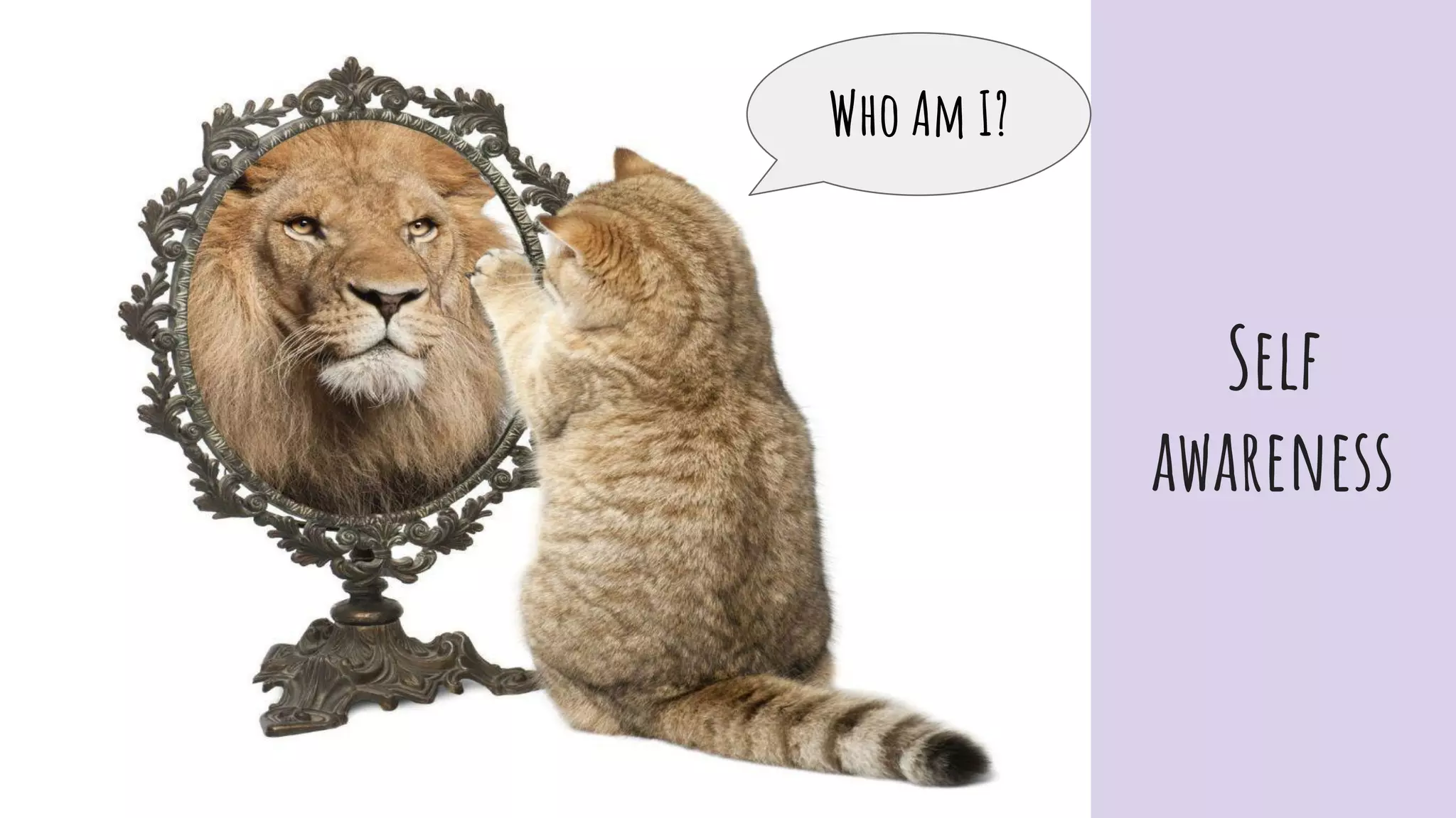 Self
awareness
Who Am I?
 