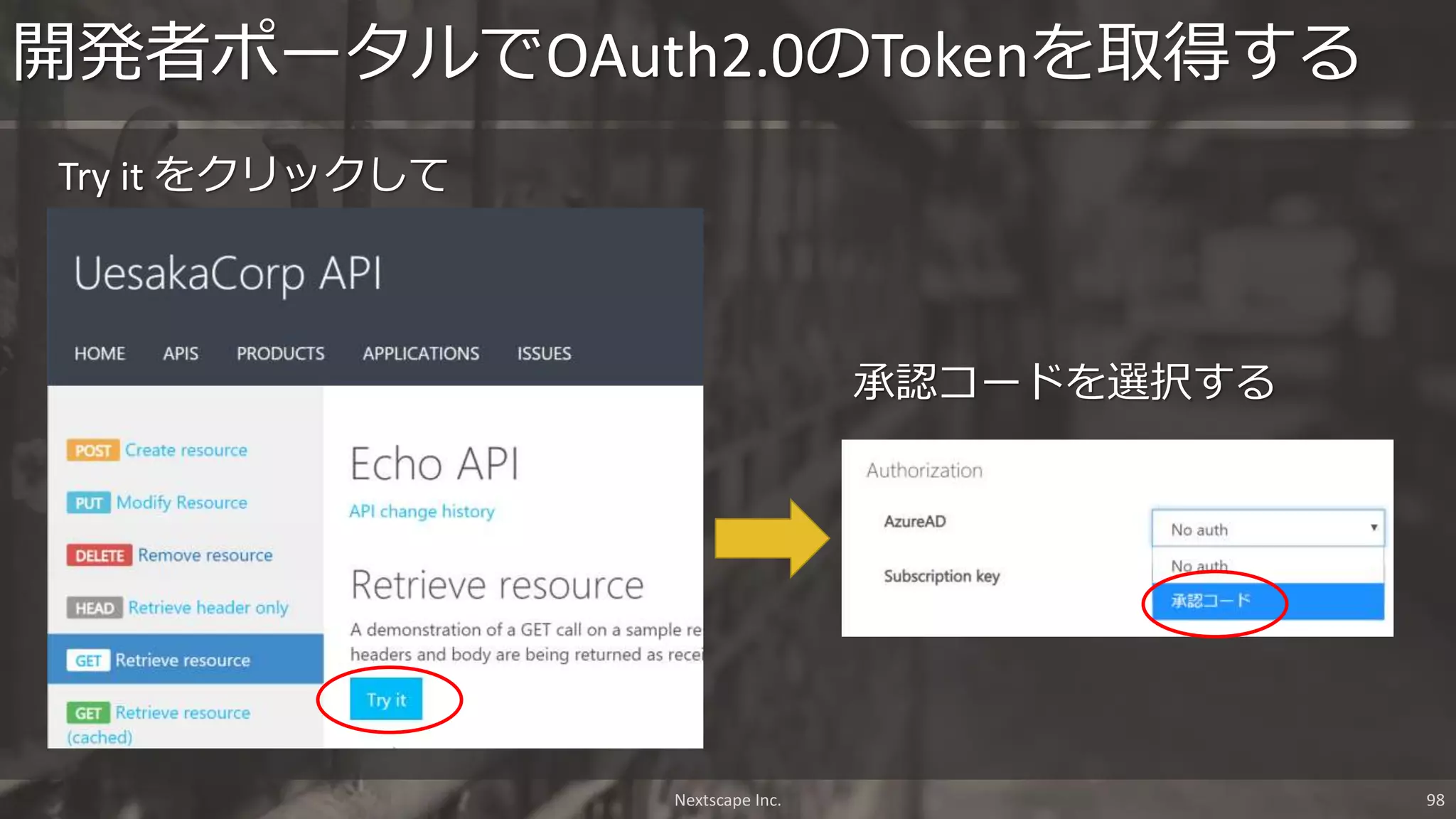 Try it をクリックして
開発者ポータルでOAuth2.0のTokenを取得する
Nextscape Inc. 98
承認コードを選択する
 