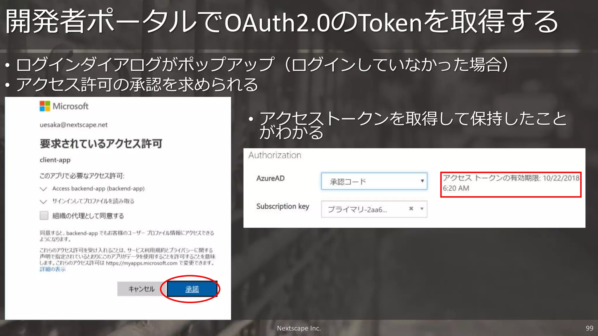 • ログインダイアログがポップアップ（ログインしていなかった場合）
• アクセス許可の承認を求められる
開発者ポータルでOAuth2.0のTokenを取得する
Nextscape Inc. 99
• アクセストークンを取得して保持したこと
がわかる
 