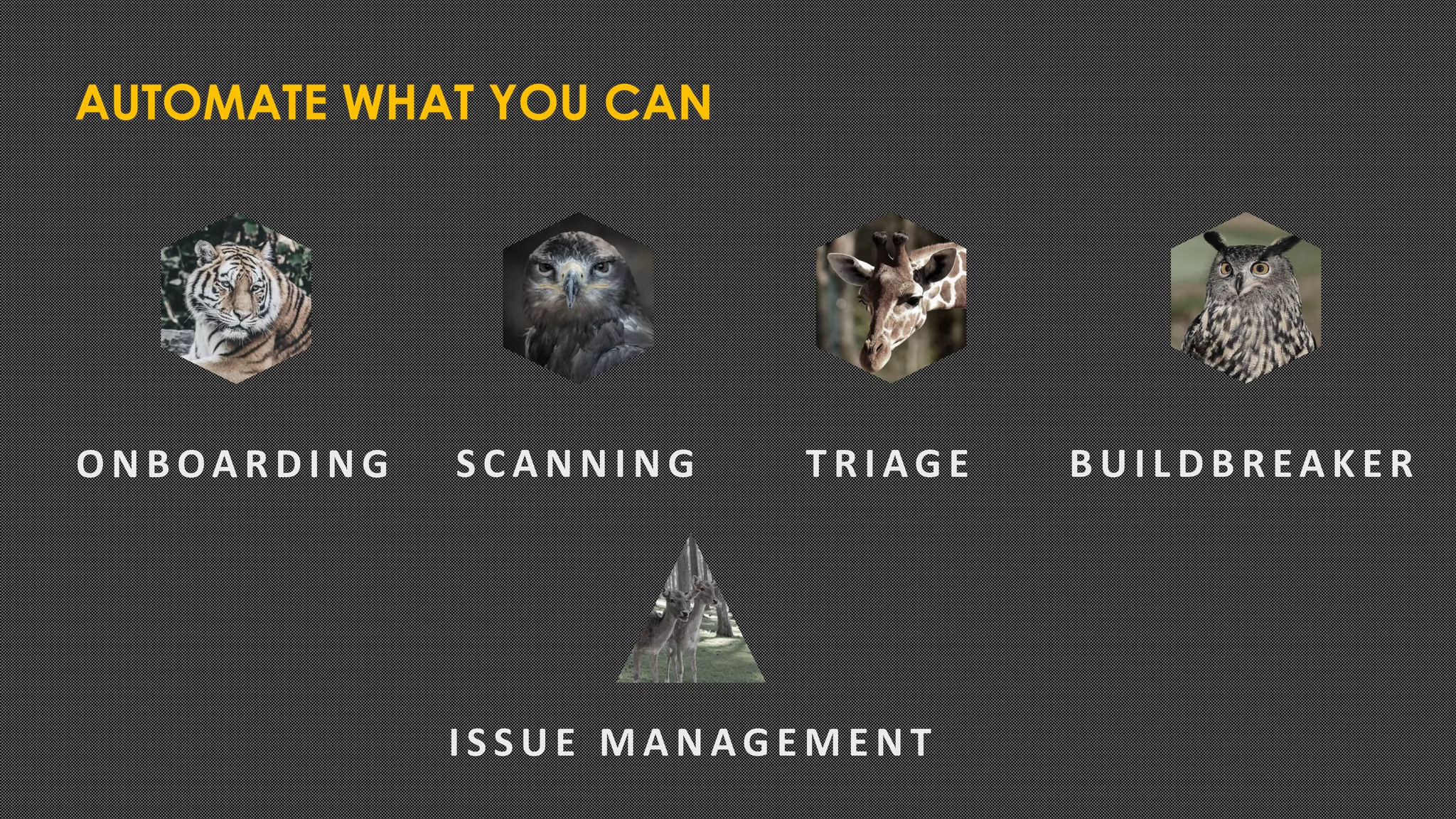 AUTOMATE WHAT YOU CAN
O N B OA R D I N G S C A N N I N G T R I AG E B U I L D B R EA K E R
I S S U E M A N AG E M E N T
 