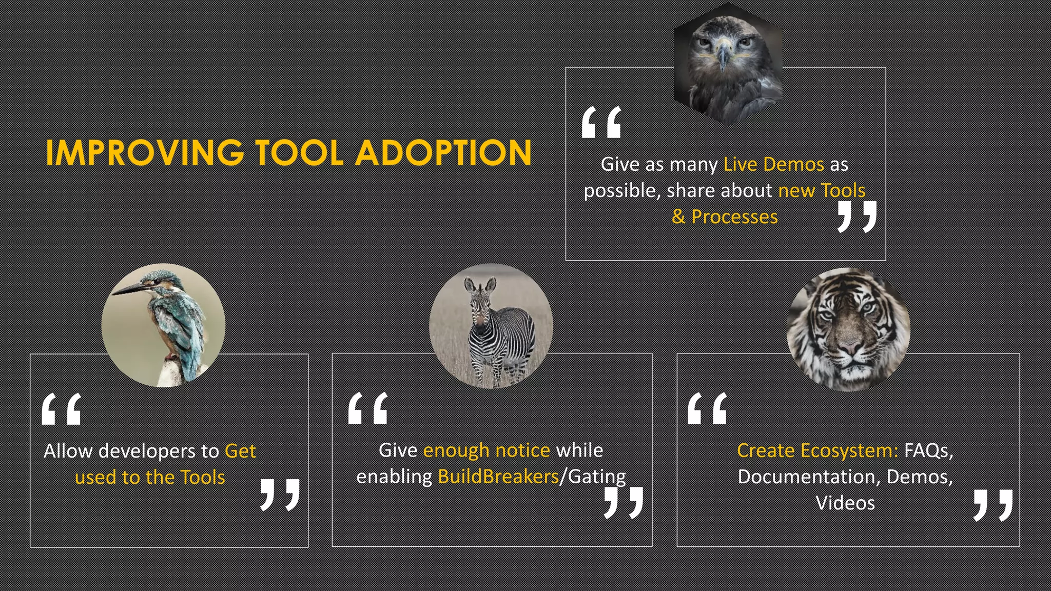 IMPROVING TOOL ADOPTION
Allow developers to Get
used to the Tools‘‘
’’
Give enough notice while
enabling BuildBreakers/Gating‘‘
’’
Create Ecosystem: FAQs,
Documentation, Demos,
Videos
‘‘
’’
Give as many Live Demos as
possible, share about new Tools
& Processes
‘‘
’’
 