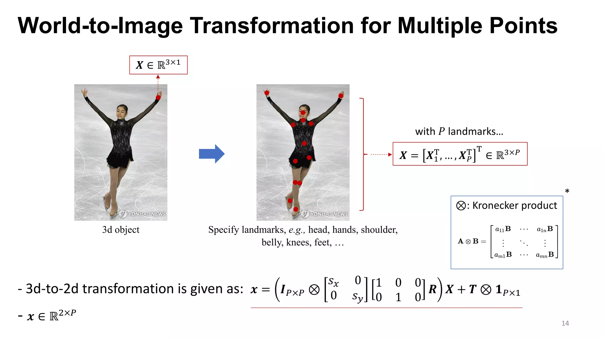 World-to-Image Transformation for Multiple Points
14
3d object Specify landmarks, e.g., head, hands, shoulder,
belly, knees, feet, …
𝑿 ∈ ℝ;×9
𝑿 = 𝑿9
h
, … , 𝑿j
h h
∈ ℝ;×j
- 3d-to-2d transformation is given as: 𝒙 = 𝑰j×j ⊗
𝑠F 0
0 𝑠G
1 0 0
0 1 0
𝑹 𝑿 + 𝑻 ⊗ 𝟏j×9
- 𝒙 ∈ ℝ7×j
with 𝑃 landmarks…
⊗: Kronecker product
*
 