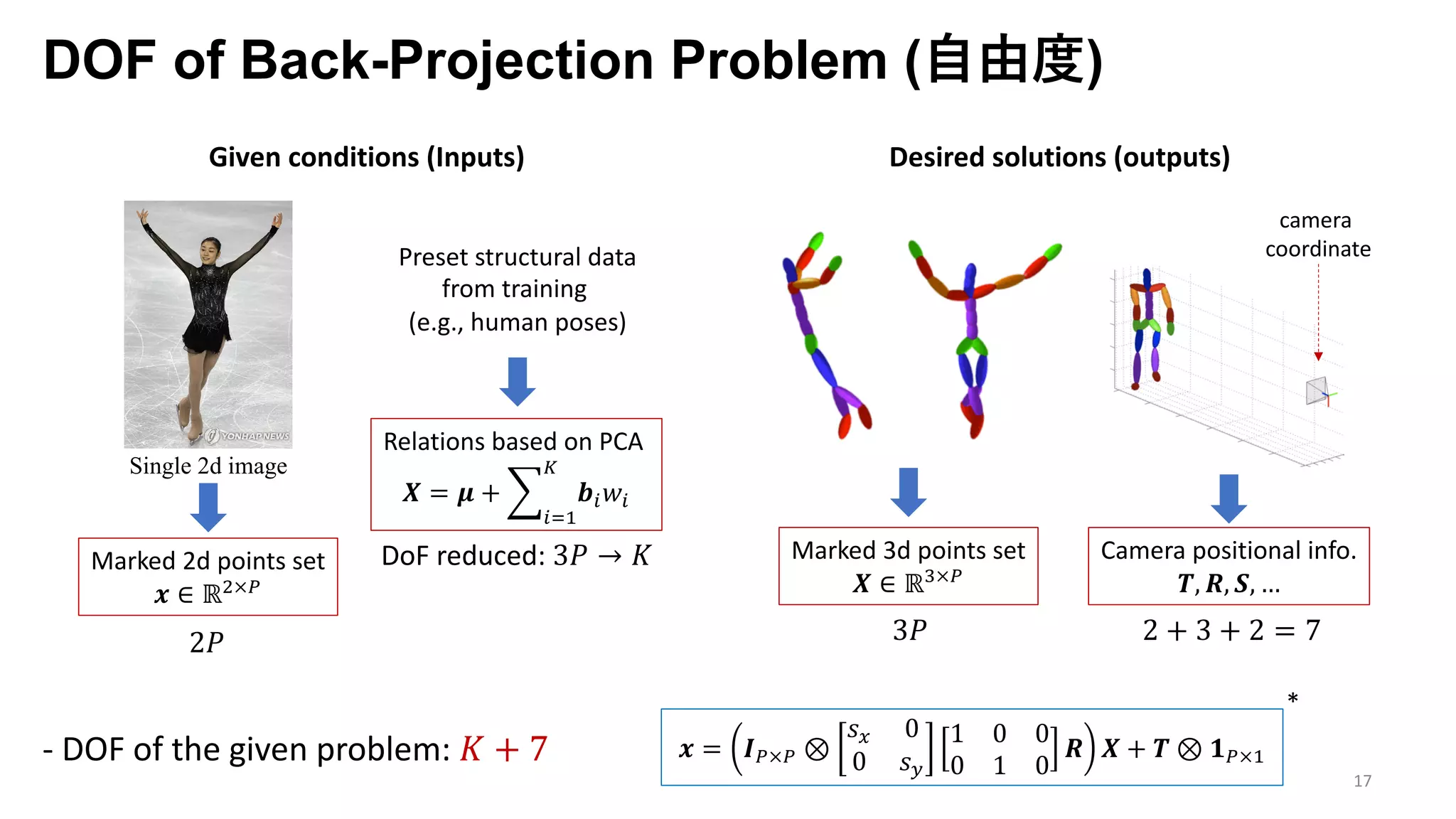DOF of Back-Projection Problem (⾃由度)
17
Given conditions (Inputs)
Single 2d image
Marked 2d points set
𝒙 ∈ ℝ7×j
Relations based on PCA
𝑿 = 𝝁 + o
pq9
r
𝒃p 𝑤p
Preset structural data
from training
(e.g., human poses)
Desired solutions (outputs)
Marked 3d points set
𝑿 ∈ ℝ;×j
camera
coordinate
Camera positional info.
𝑻, 𝑹, 𝑺, …
𝒙 = 𝑰j×j ⊗
𝑠F 0
0 𝑠G
1 0 0
0 1 0
𝑹 𝑿 + 𝑻 ⊗ 𝟏j×9
*
3𝑃 2 + 3 + 2 = 72𝑃
DoF reduced: 3𝑃 → 𝐾
- DOF of the given problem: 𝐾 + 7
 