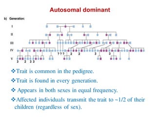 Trait is common in the pedigree.
Trait is found in every generation.
 Appears in both sexes in equal frequency.
Affected individuals transmit the trait to ~1/2 of their
children (regardless of sex).
Autosomal dominant
 