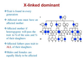 X-linked dominant
Trait is found in every
generation
 Affected sons must have an
affected mother
Affected mother if
heterogygous will pass the
trait to ½ of the sons and ½
of their daughters
Affected fathers pass trait to
ALL of their daughters
Males and females are
equally likely to be affected
 
