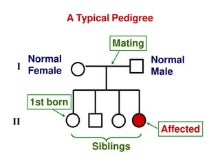 A Typical Pedigree
Normal
Female
Normal
Male
Mating
1st born
Siblings
Affected
I
II
 