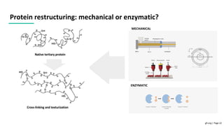Protein Texturization Fermentation is the future of alternative protein | PDF