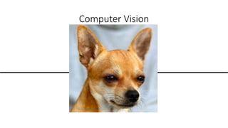 Computer Vision
 