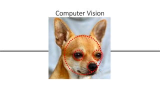 Computer Vision
 