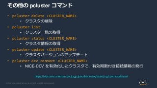 © 2020, Amazon Web Services, Inc. or its Affiliates. All rights reserved.
その他の pcluster コマンド
• pcluster delete <CLUSTER_NAME>
• クラスタの削除
• pcluster list
• クラスタ一覧の取得
• pcluster status <CLUSTER_NAME>
• クラスタ情報の取得
• pcluster update <CLUSTER_NAME>
• クラスタバージョンのアップデート
• pcluster dcv connect <CLUSTER_NAME>
• NICE-DCV を有効化したクラスタで、有効期限付き接続情報の発行
https://docs.aws.amazon.com/ja_jp/parallelcluster/latest/ug/commands.html
 