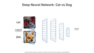 Deep Neural Network: Cat vs Dog
https://becominghuman.ai/building-an-image-classifier-using-deep-learning-in-python-totall...