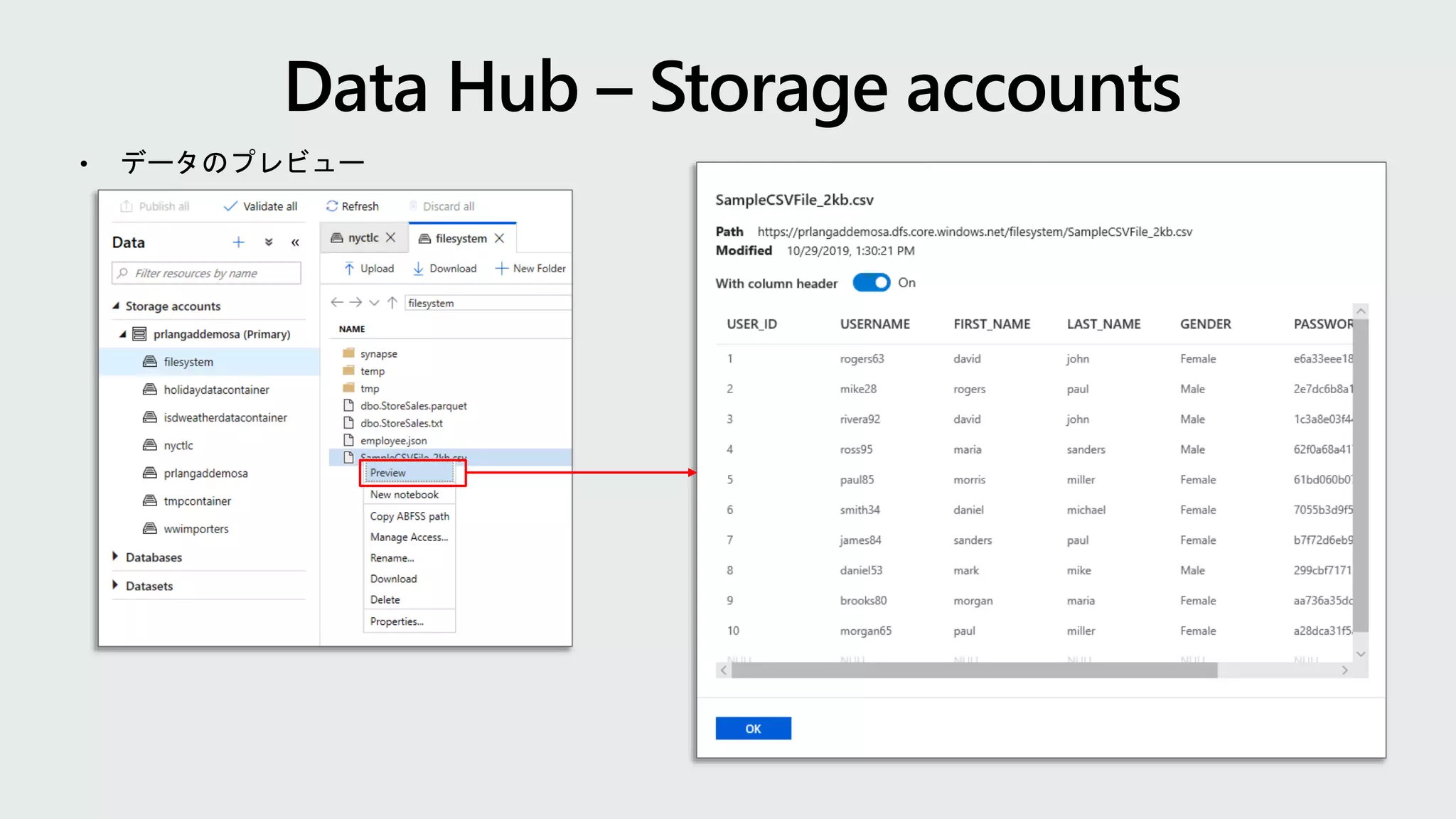 • データのプレビュー
 