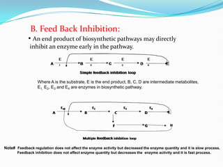 Regulation of enzymes activity 0a08fd94fd.pdf