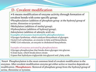 Regulation of enzymes activity 0a08fd94fd.pdf