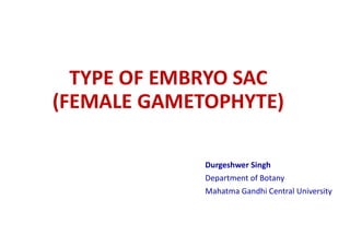 TYPE OF EMBRYO SAC
(FEMALE GAMETOPHYTE)
Durgeshwer Singh
Department of Botany
Mahatma Gandhi Central University
 