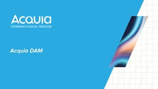 Acquia DAM
 